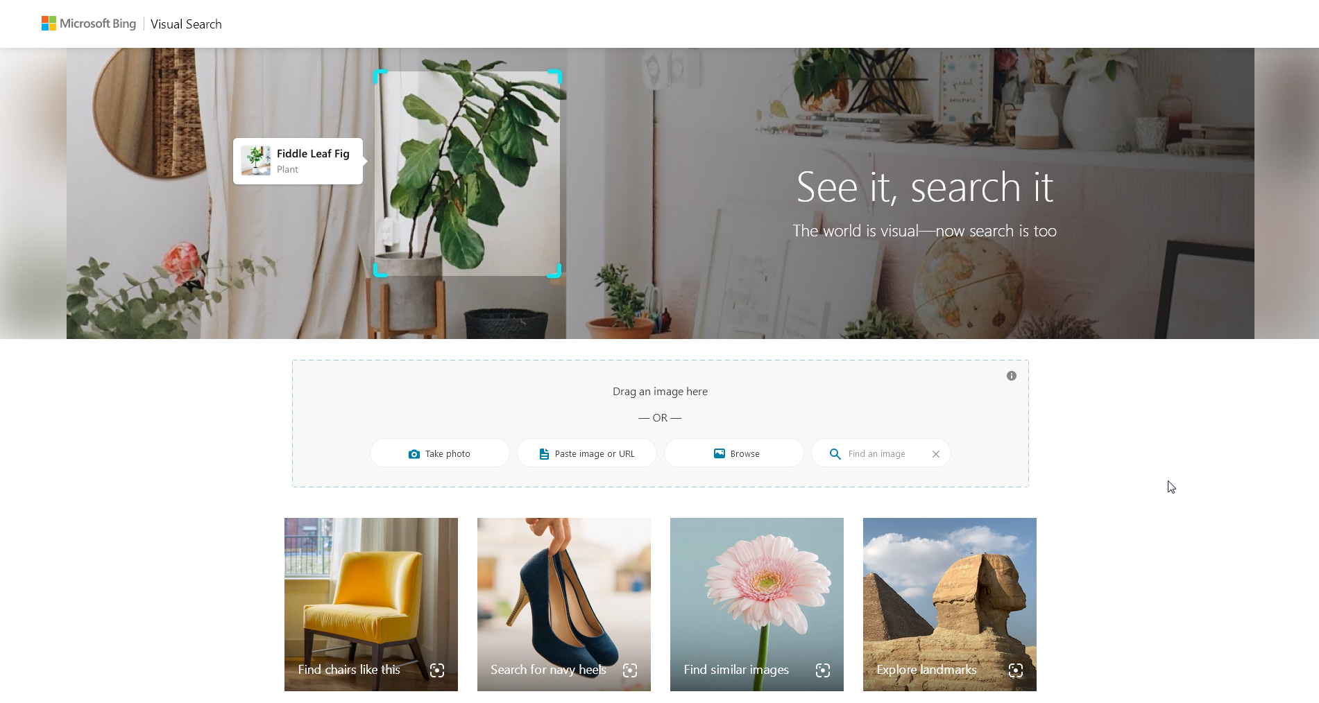 Image Search Find Similar And Duplicate Images By Image Image Search Find Similar And Duplicate Images By Image
